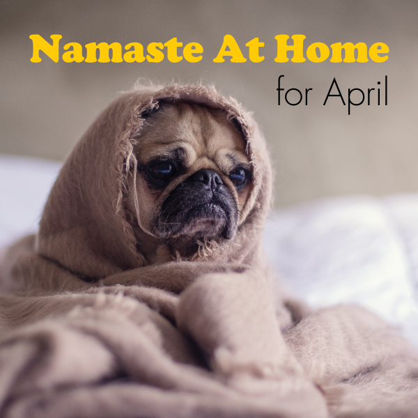 NAMASTE AT HOME FOR APRIL Zama Yoga Yoga Teacher Training Pilates   Blog POTM Namaste At Home Apr 2020 